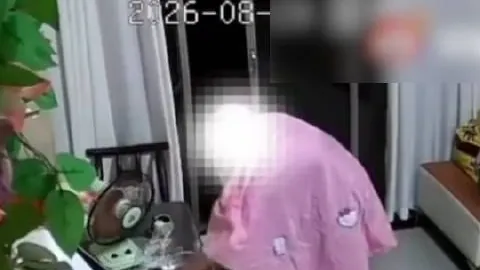 英雄联盟11战队训练揭秘，夺冠之路！